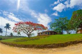 Porto Seguro Rural: Oportunidades Únicas em 6 Fazendas de Cacau, Pecuária e Eucalipto à Venda